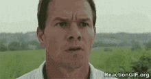 Mark Wahlberg What GIF - Mark Wahlberg What Confused GIFs