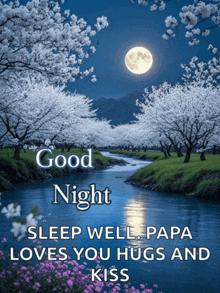 a good night sleep well papa loves you hugs and kiss picture