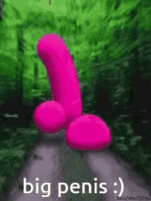 Bigpenis Dick GIF - Bigpenis Dick Pink GIFs