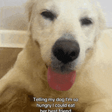 a close up of a dog with its tongue hanging out and the words telling my dog i 'm so hungry