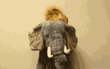 Elephant Lion GIF