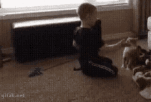 Child Cat GIF - Child Cat Slap GIFs