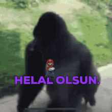 Hllolsun GIF - Hllolsun GIFs