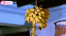 Small Banana.Gif GIF