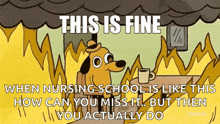 a cartoon dog is sitting at a table with a cup of coffee under a cloud that says this is fine