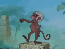Monkey Dance GIF - Monkey Dance Groovy GIFs