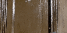 a blue bird with glasses is looking through a door