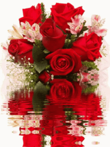 Rose Flower GIF – Rose Flower – discover and share GIFs