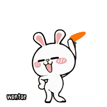wontae hiper rabbit rabbit dance baile