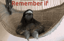 Remember If You Gonna Die Like A Bitch GIF - Remember If You Gonna Die Like A Bitch Act GIFs