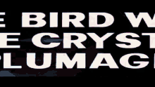 The Bird With The Crystal Plumage Trailer GIF - The Bird With The Crystal Plumage Trailer Coming Soon GIFs
