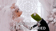 Married Muppets GIF - Married Muppets Kermit The Frog GIFs