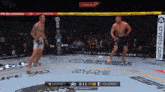 Knockout Bmf GIF - Knockout Bmf Gaethje GIFs