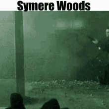 Symerewoods Symerehl2rp GIF - Symerewoods Symerehl2rp Symerehl2 GIFs