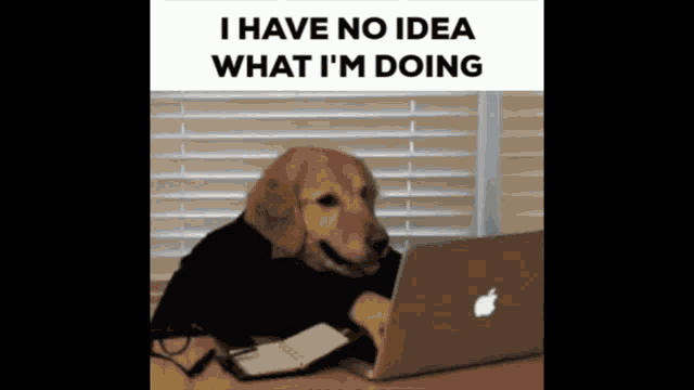i have no idea what im doing dog computer