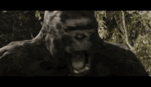 Kong Laughing GIF