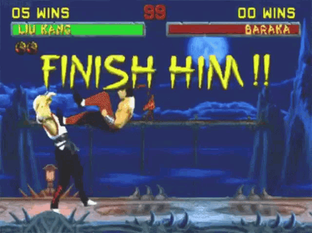 Finish Him. Flawless Victory. Fatality