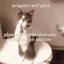 Catsoda Origami Reef GIF - Catsoda Origami Reef Fuzy GIFs