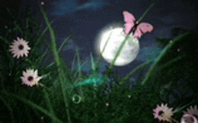a pink butterfly is flying over a field of flowers in front of a full moon .