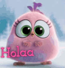 angry bird hola hola amigos