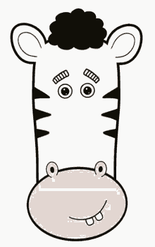 animal zebra