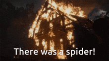 Burn Spider GIF - Burn Spider GIFs