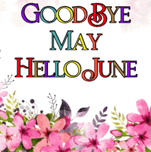 May June GIF - May June Goodbyemay GIFs