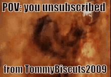 tommy biscuits