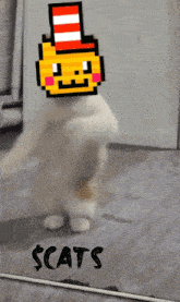 Catsinthesats Memecoin GIF