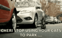 parking bad stop using your cats