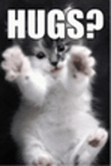 a cat with its paws up and the words hugs written on it