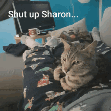 Sharon Cat GIF - Sharon Cat Funny GIFs