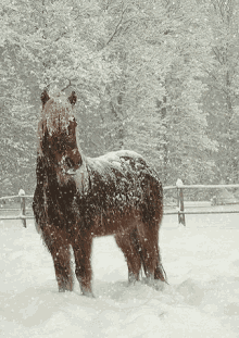 Caught In The Storm GIF - Snow Weather GIFs