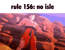 rule156 no
