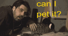 Can I Pet It Pet GIF - Can I Pet It Pet It Pet GIFs