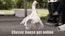 classic goose classic goose get online