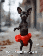 a small black dog wearing a red tutu is standing on its hind legs on a street .