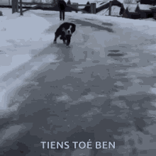 Ice Dog GIF