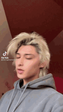 a young man with blonde hair is wearing a grey hoodie and a tik tok sticker