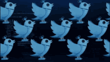 Twitter Twitter Bird GIF - Twitter Twitter Bird Social Media GIFs