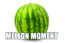 funny mellons