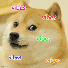 Good Vibes Doge GIF - Good Vibes Doge GIFs