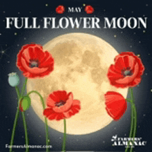 a poster for a full flower moon with red flowers in front of a full moon