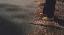 GIF