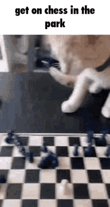 Cat Chess GIF - Cat Chess Chess In The Park GIFs