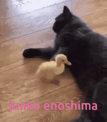 Junko Enoshima Junko Cat GIF