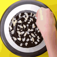 a chocolate cake with almonds sprinkled on top of it