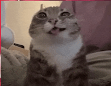 a cat is sticking its tongue out while looking at the camera