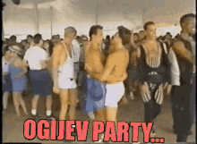 Ogijev Party Ogi GIF - Ogijev Party Ogi Ogi Lud GIFs