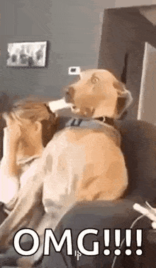 a dog is sitting on a couch next to a woman holding a remote control .